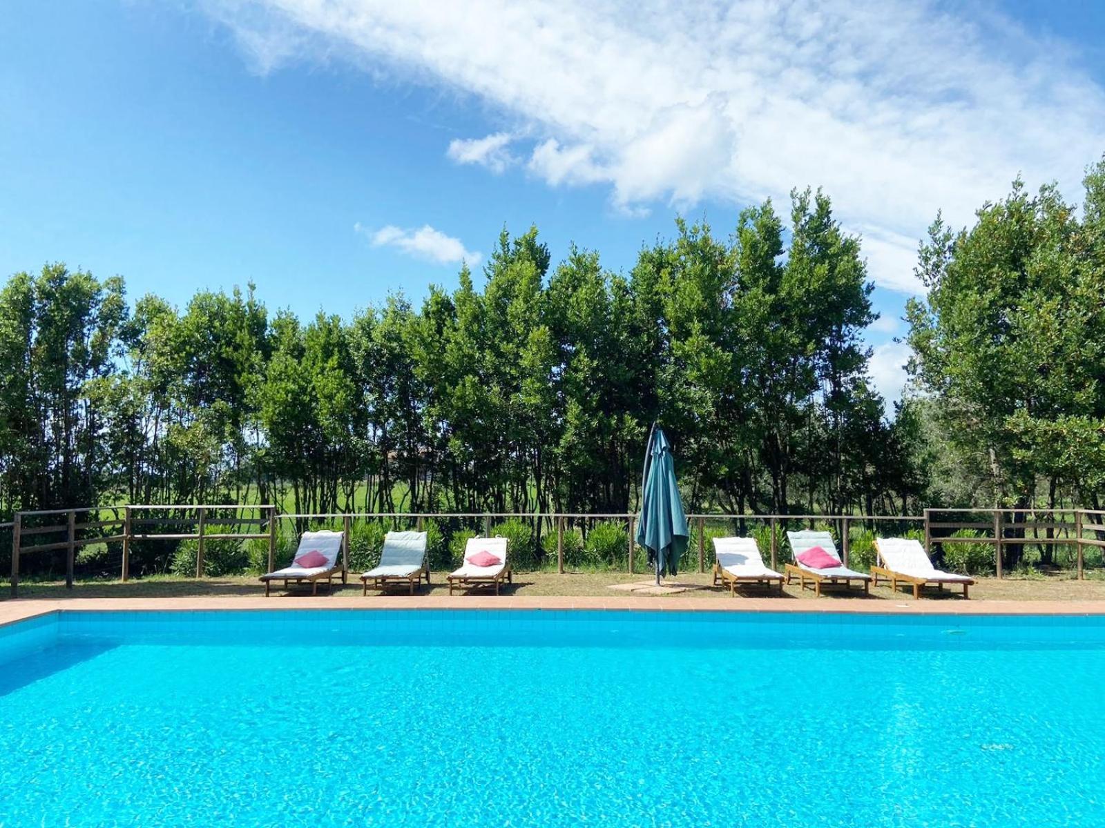 Апартаменты Relais Casale Il Poggetto - Olivo 2 By Zoom In Earth Чечина Экстерьер фото